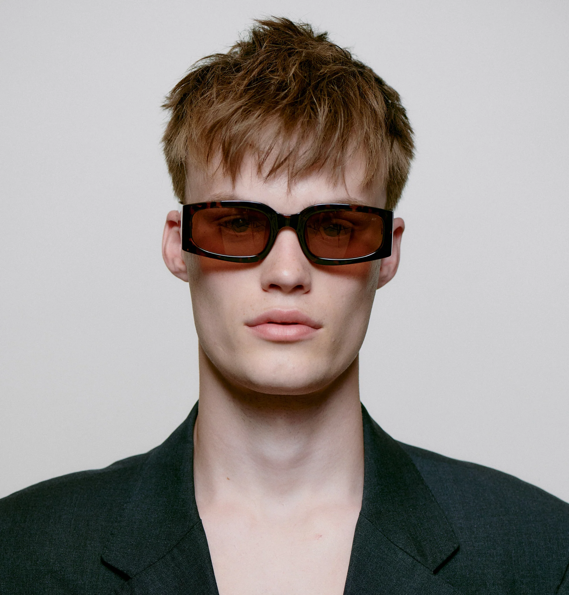 Alex - Demi Tortoise - Image 2