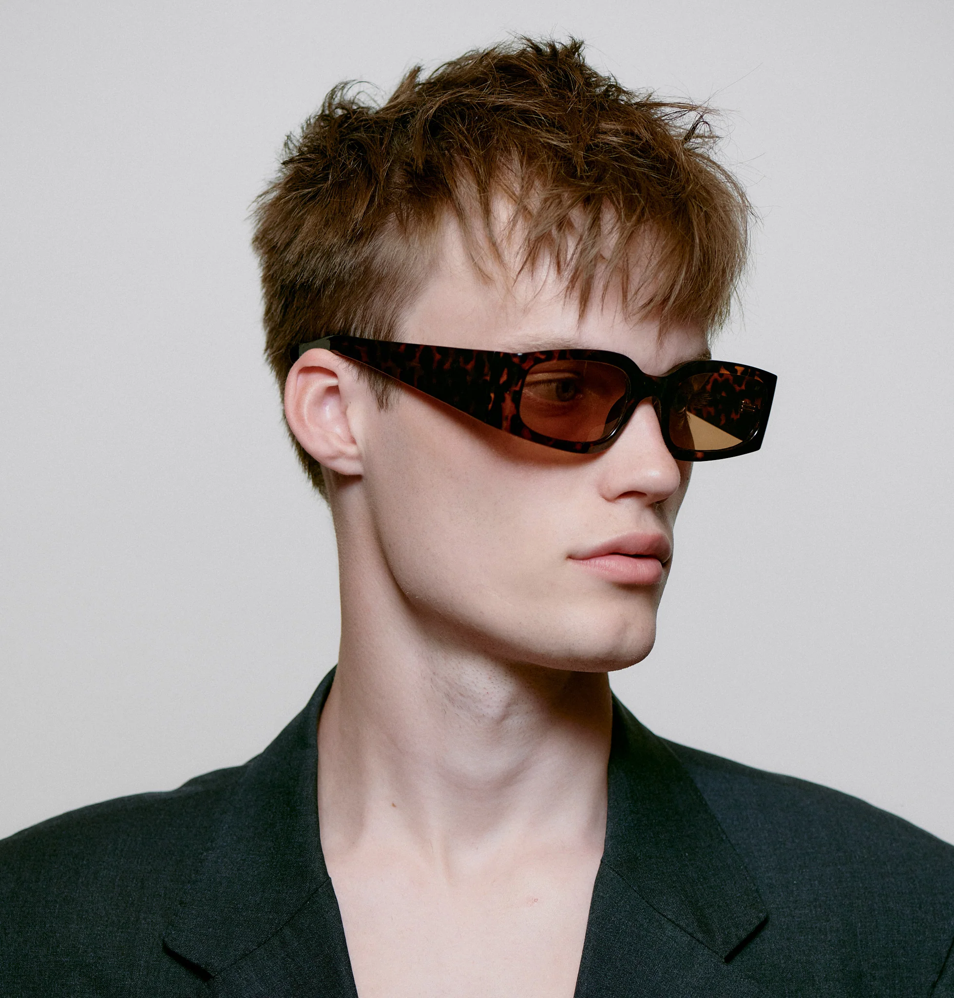 Alex - Demi Tortoise - Image 8