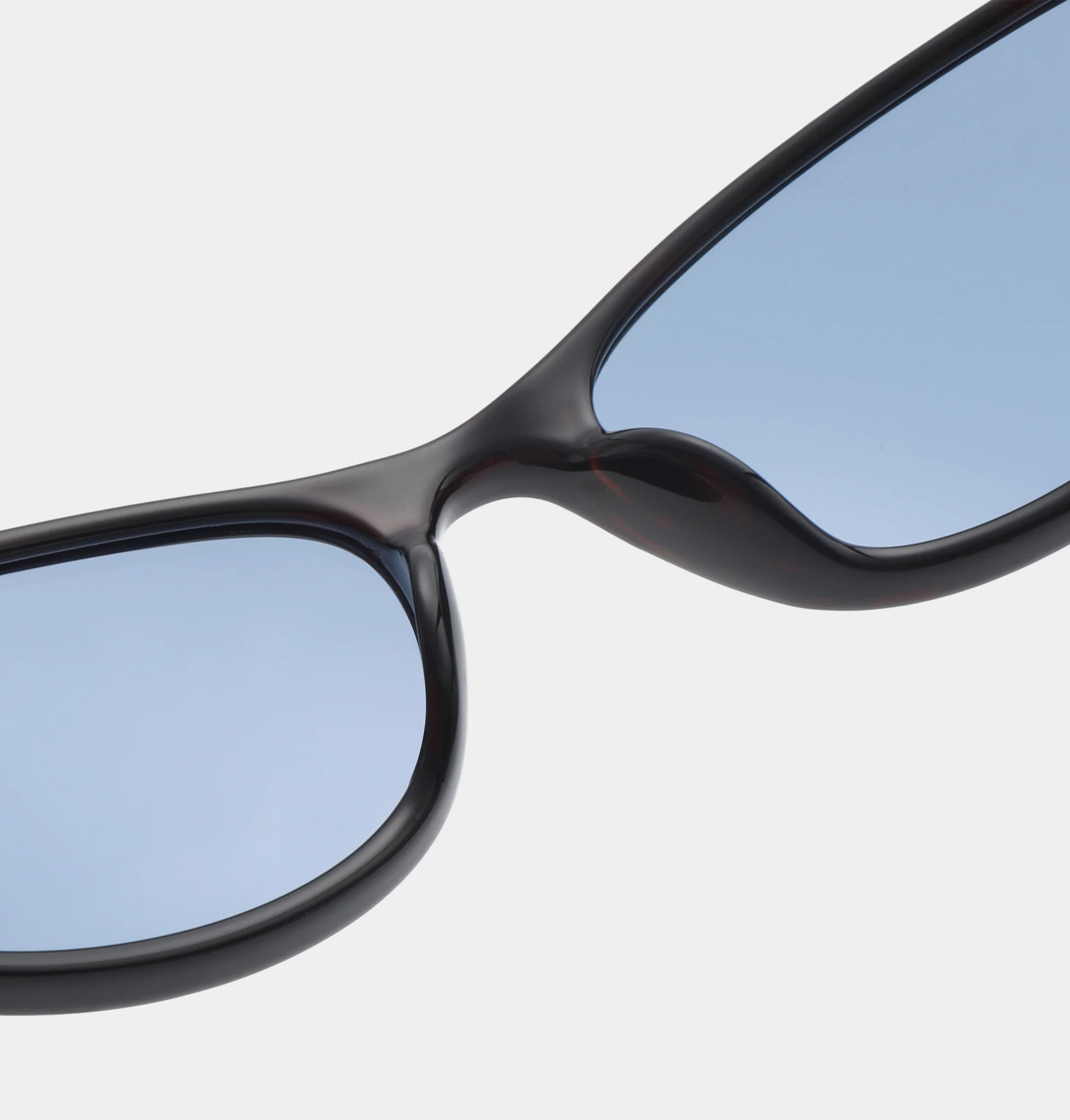 Alexa - Demi Tortoise - Image 6