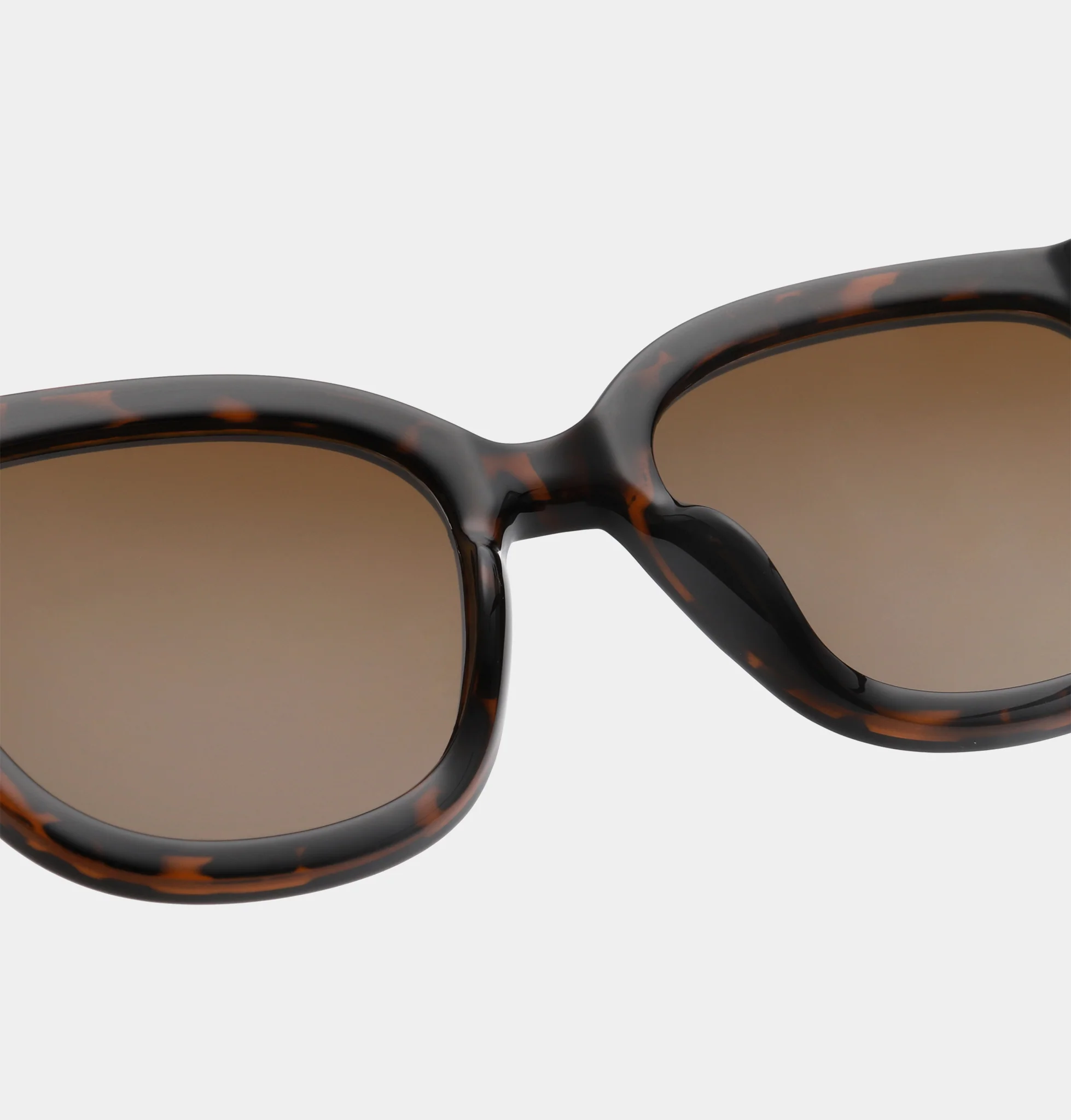 Billy - Demi Tortoise - Image 4