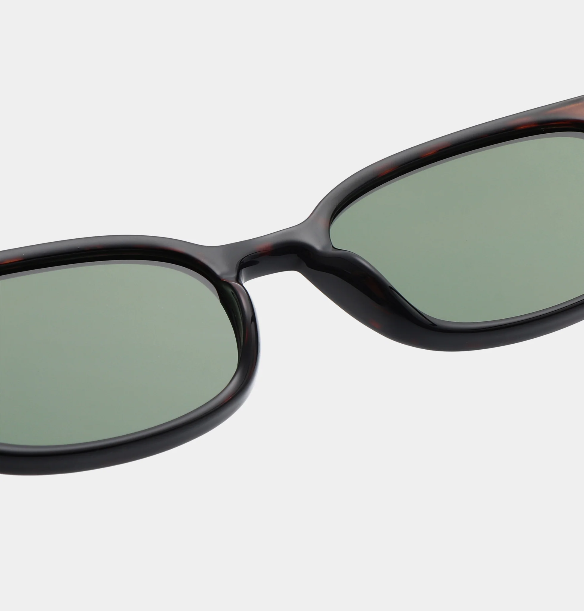 Charlie - Demi Tortoise - Image 6