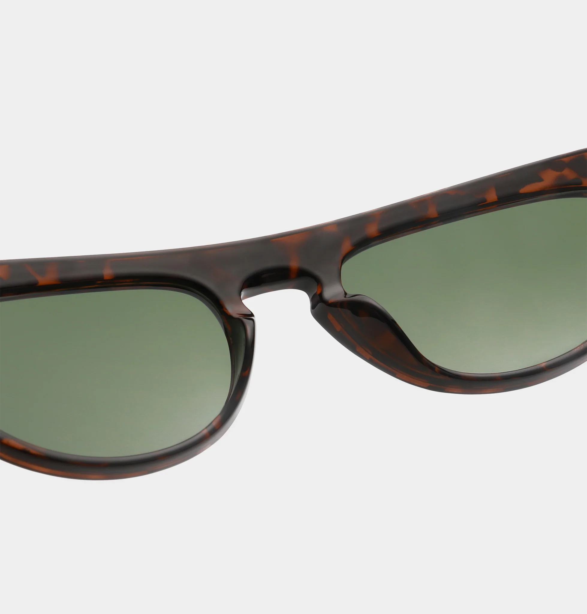 Jake - Demi Tortoise - Image 5