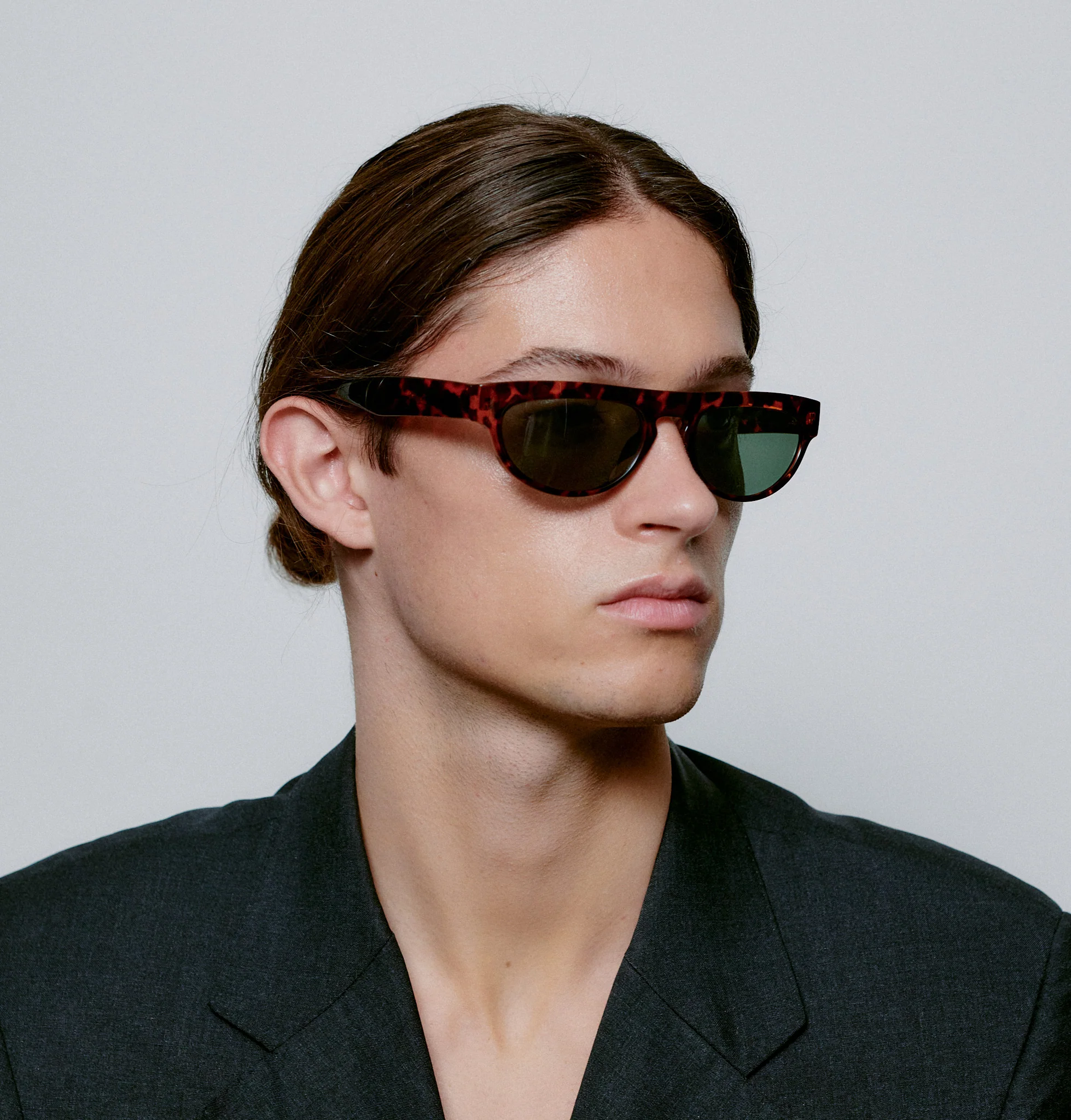 Jake - Demi Tortoise - Image 8