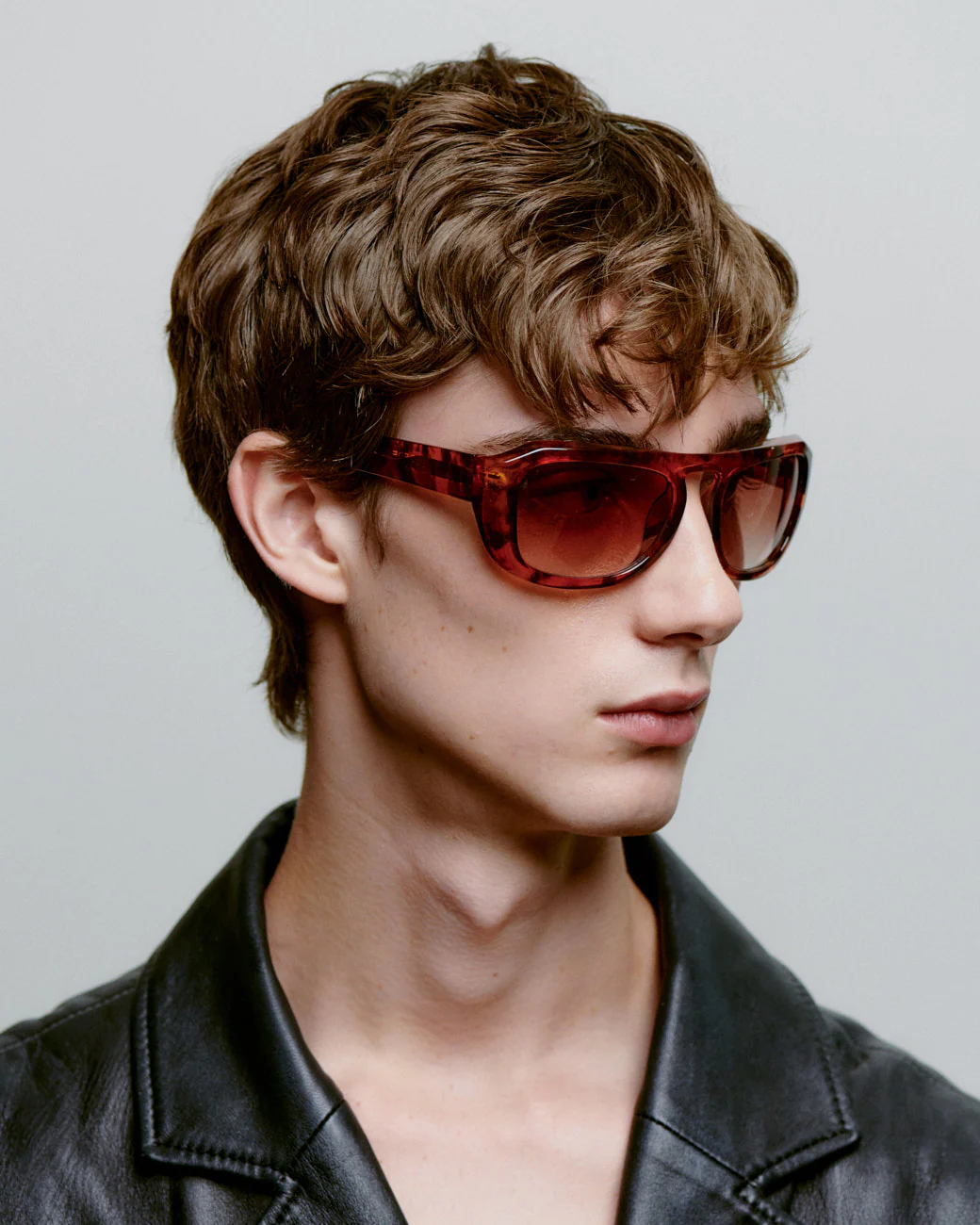 Max - Havana - Image 7
