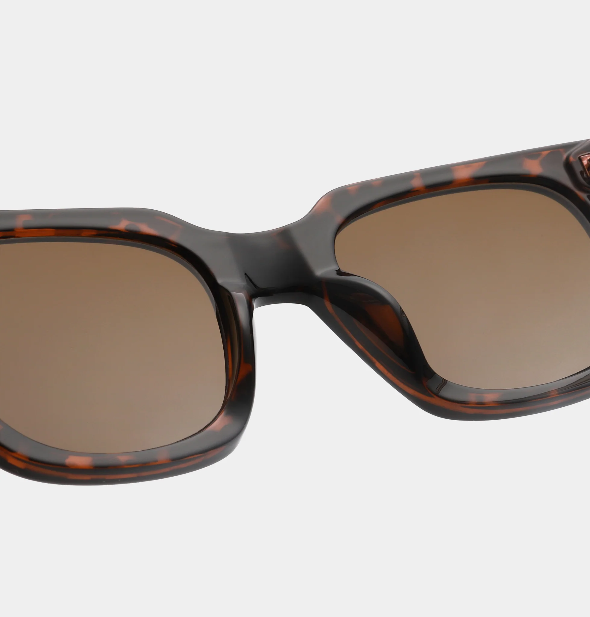 Nancy - Demi Tortoise - Image 5