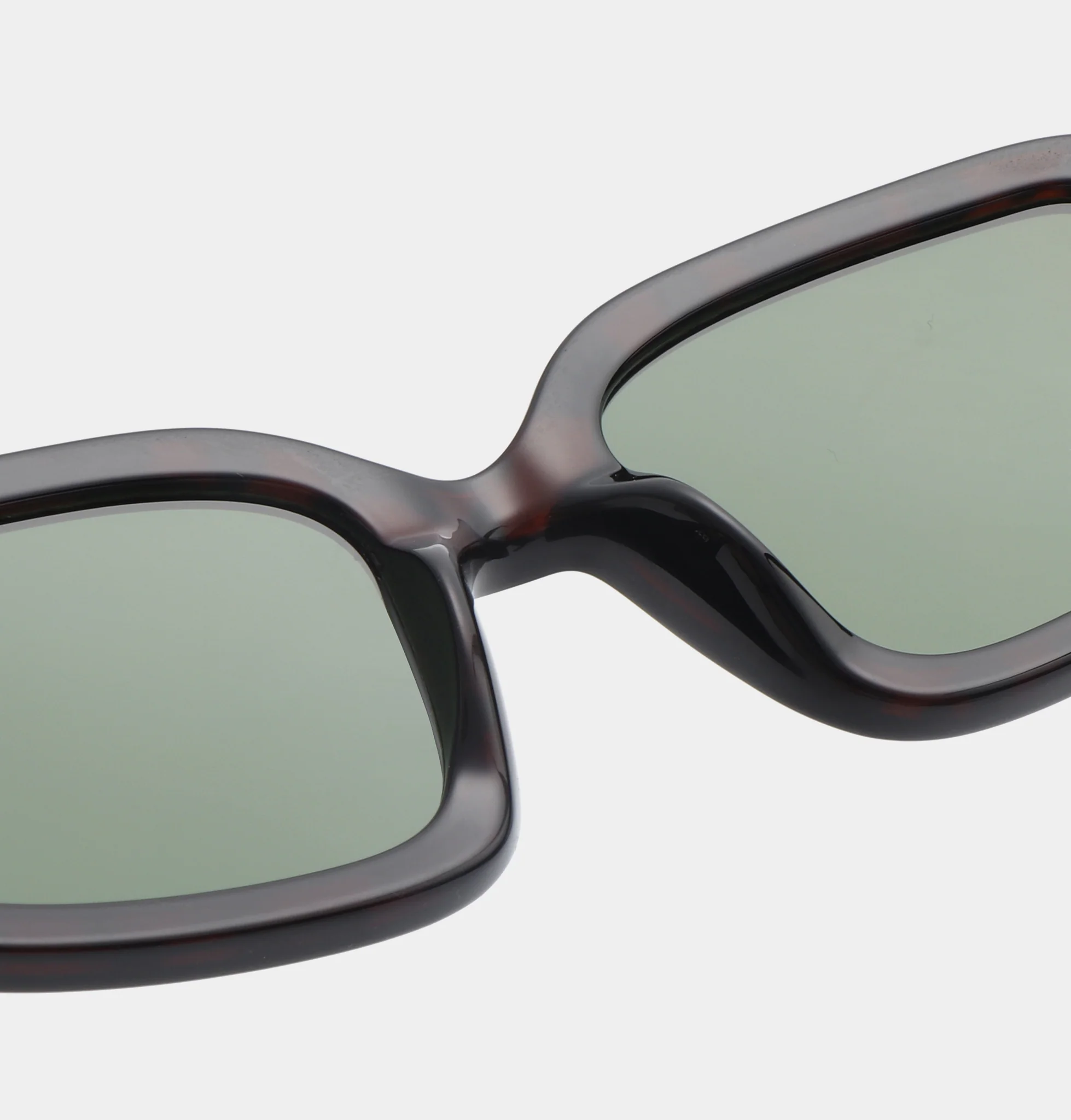 Pluto - Demi Tortoise - Image 6