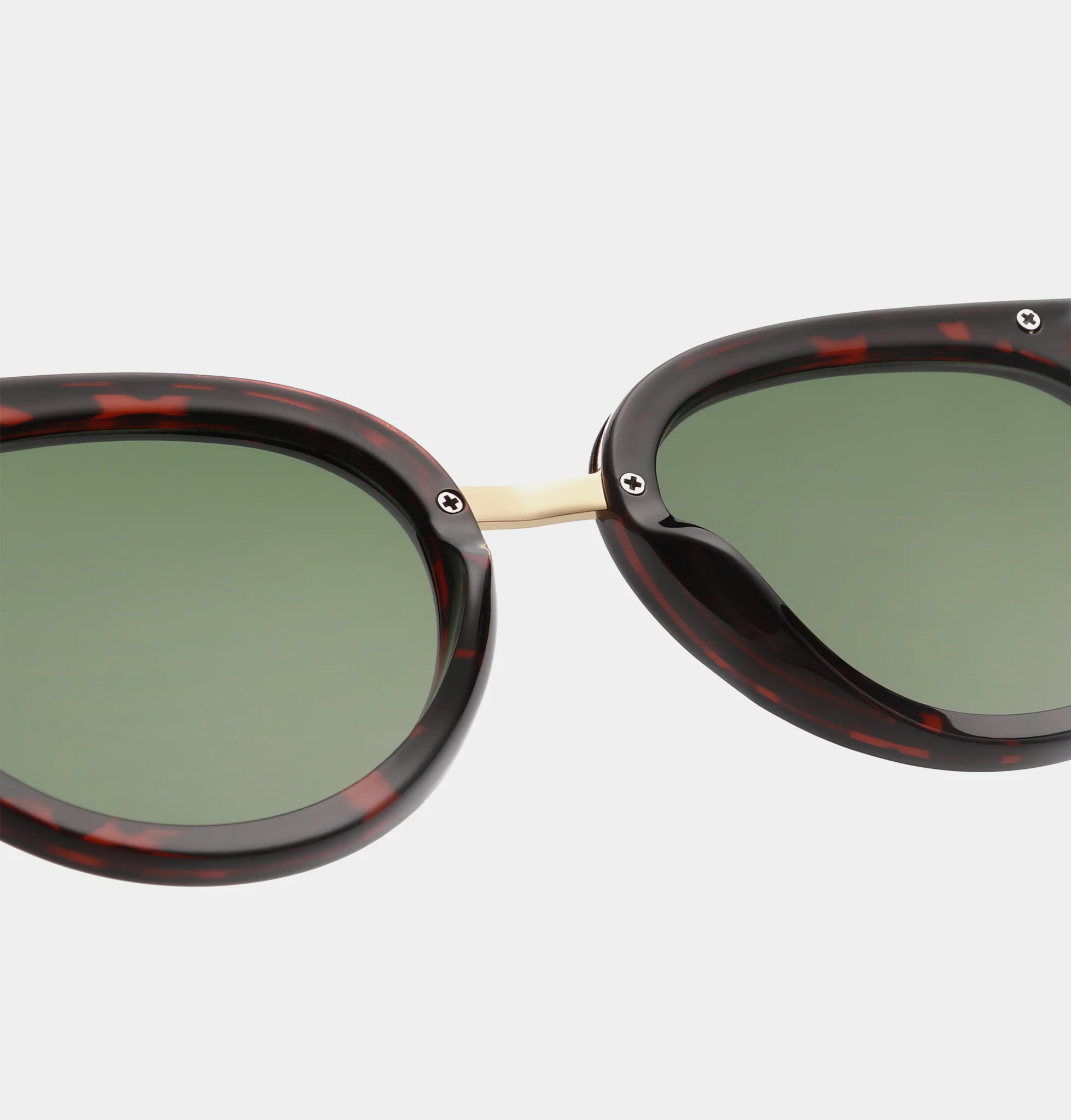 Jolie - Demi Tortoise - Image 4