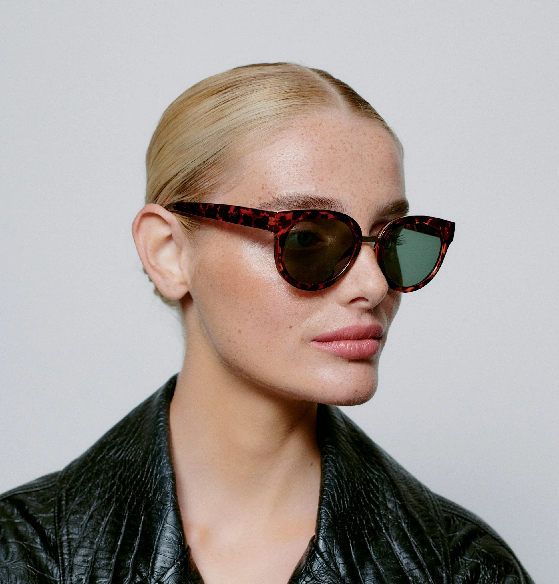 Jolie - Demi Tortoise - Image 6